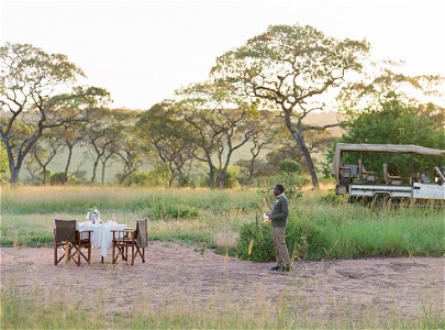 Serengeti Bushtops